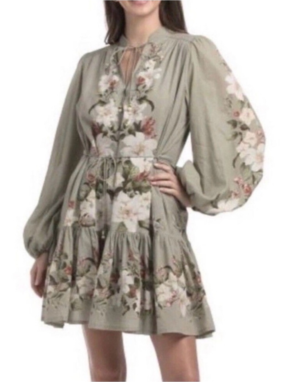 Women's Sage Green Floral Embroidered Long-Sleeve Mini Dress